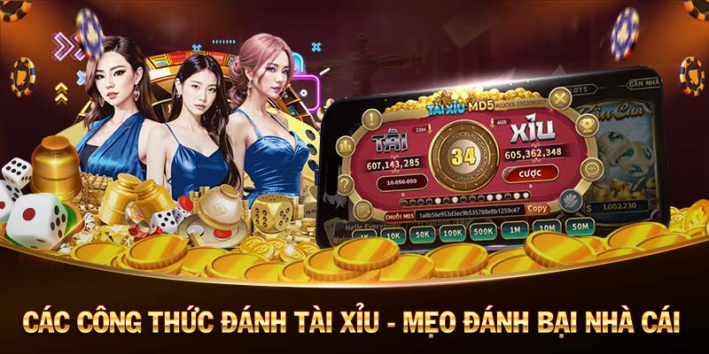 Kiểm Chứng Legitimacy 500k Monster Bonus Kiểm Chứng Legitimacy 500k Monster Bonus